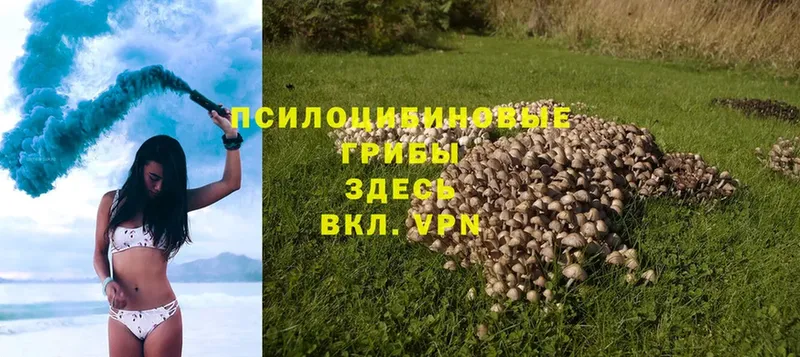 Псилоцибиновые грибы Magic Shrooms  хочу   Ангарск 